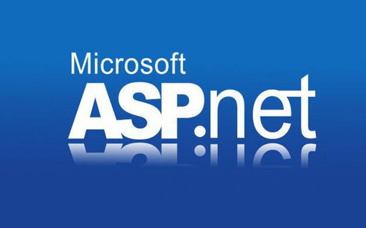 ASP.NET hỗ trợ những ngôn ngữ lập trình nào?
