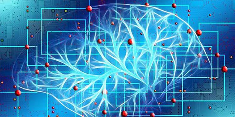 Mạng lưới thần kinh trong Deep Learning