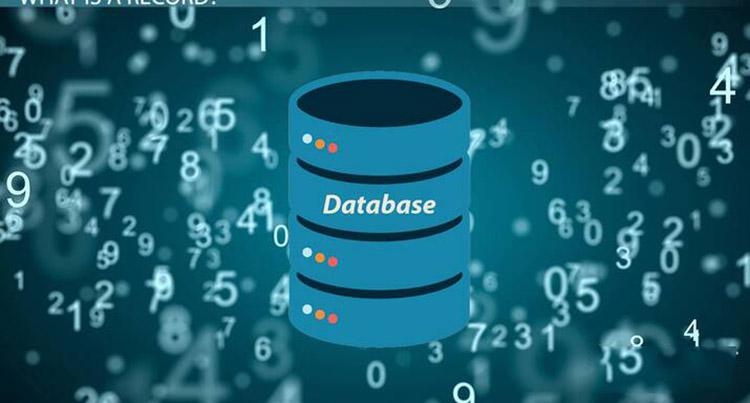 Database là một trong những công việc được nhiều công ty đón chào