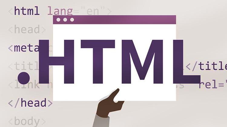 Có bao nhiêu phiên bản HTML hiện tại và khác biệt giữa chúng là gì?