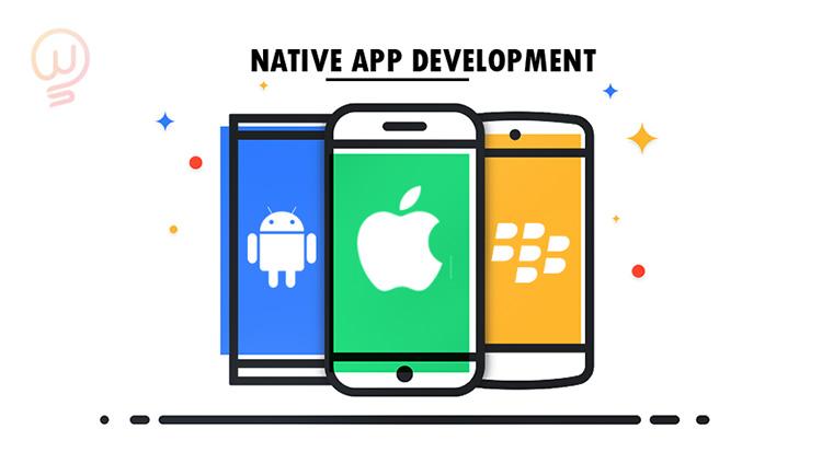 Native App là gì? Tập lập trình App với Native App đơn giản