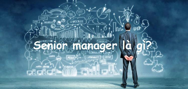 Senior Manager là gì?