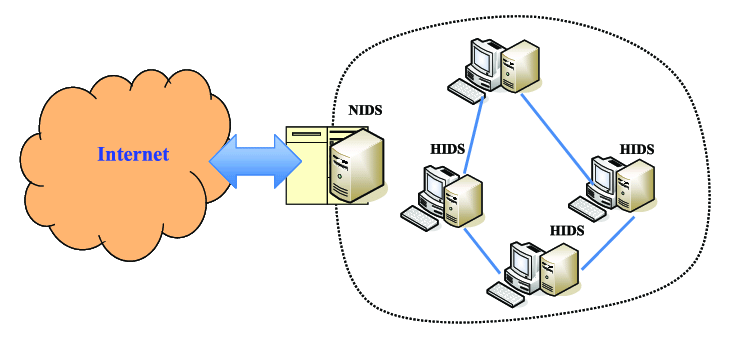 NIDS được sử dụng để giám sát traffic đến và đi từ tất cả các thiết bị trên mạng